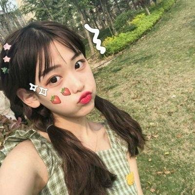 鲜花盛开的村庄